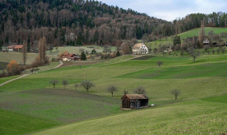 Terrain en lotissement ou isolé : quel choix pour construire sa maison