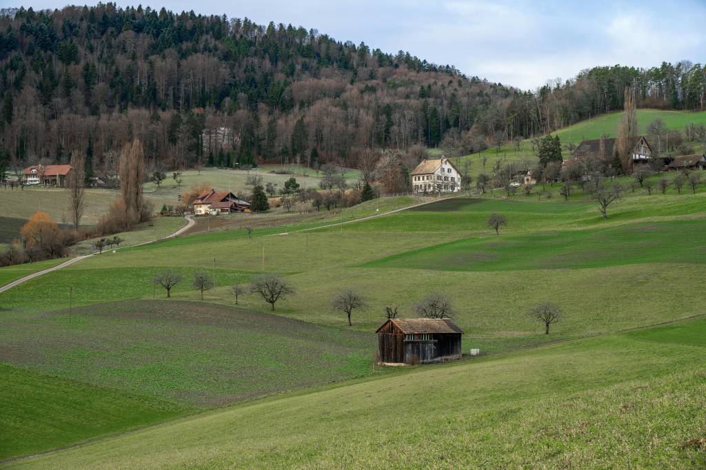 Terrain en lotissement ou isolé : quel choix pour construire sa maison